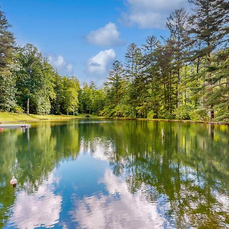Вілла Bull Creek Peaceful Escape Ешвілл Екстер'єр фото