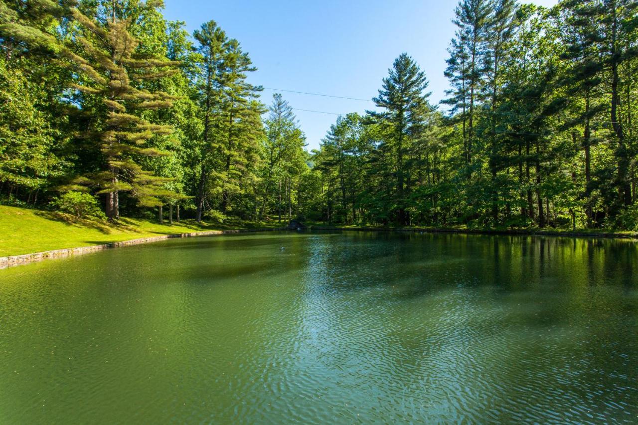Вілла Bull Creek Peaceful Escape Ешвілл Екстер'єр фото